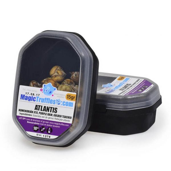 Buy magic truffles Atlantis