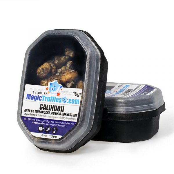 Magic truffles galindoii 10 g
